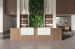 Bancone Reception Front Office