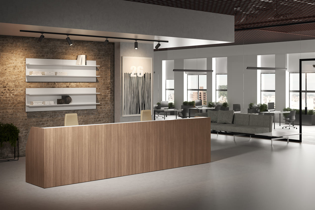 Bancone Reception Front Office