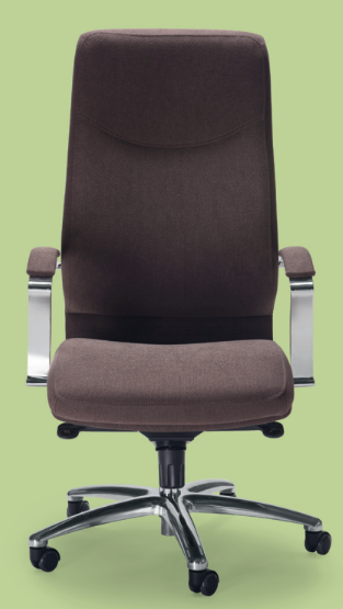 Poltrona Executive Alpha